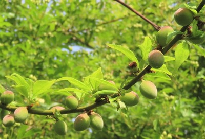 Çß0220413IMG_4802 (2)