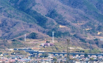 IMG_4113 (2)