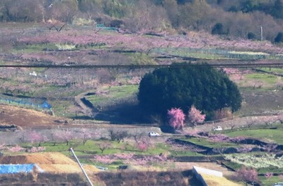IMG_4116 (2)
