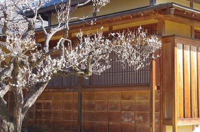 梅s-IMGP9662