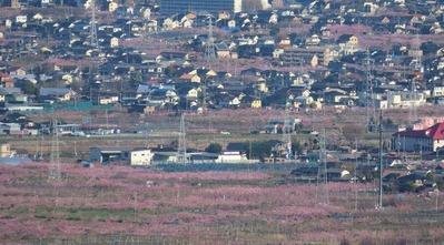 IMG_4299 (2)