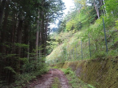 裏山1IMG_2089