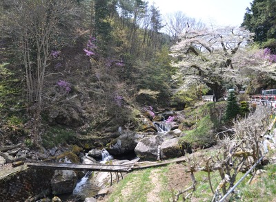 ¥×¥¦090419DSC_0029
