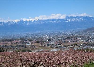 IMG_4354 (2)