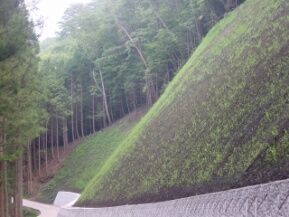 a7c2203f (1)