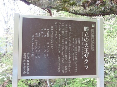 Á̤곹ƻIMG_5255