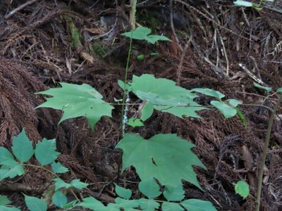 s-IMG_0944 (2)
