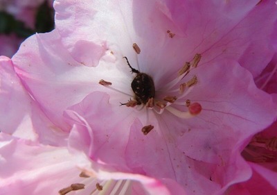IMG_5063 (2)