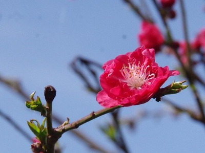 IMGP8459 (2)