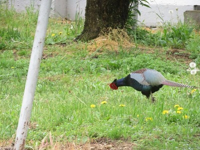 s-IMG_3804