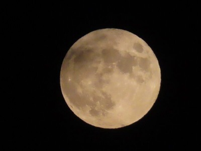2023092918時22分 IMG_2517