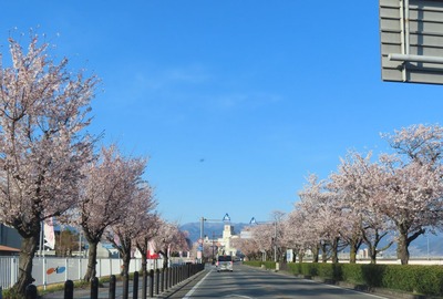 IMG_4146 (2)