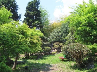IMG_5030 (3)