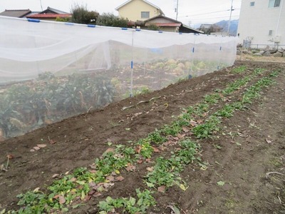 えm-IMG_1308
