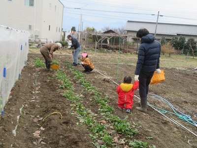 2野菜m-IMG_1201
