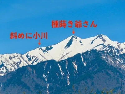 ¤ß¤µ¤È¤µ¤ó20220510774a0
