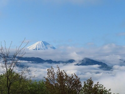 IMG_5132 (2)