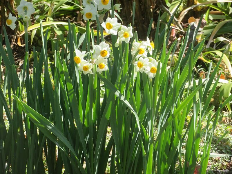 暖かいなぁ ラブ甲州