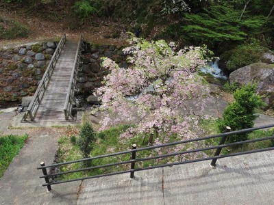 Á̤곹ƻIMG_5262