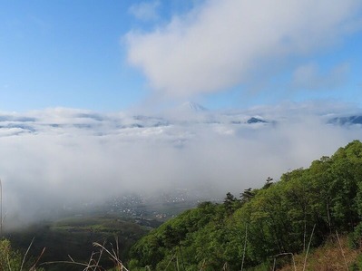 IMG_5136 (2)