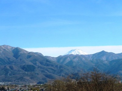 IMG_4106 (2)