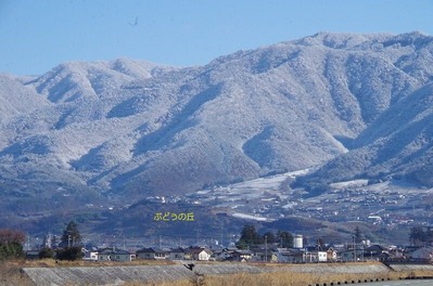 ぶどうの丘m-IMGP5339