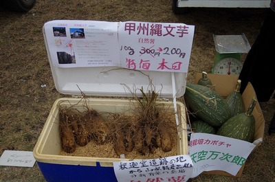 甲州縄文芋s-IMGP8160