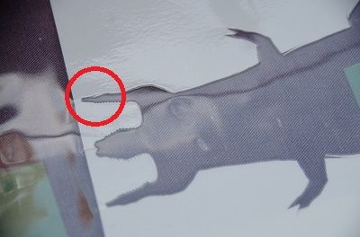ティラノサウルスのこの部分IMGP8972