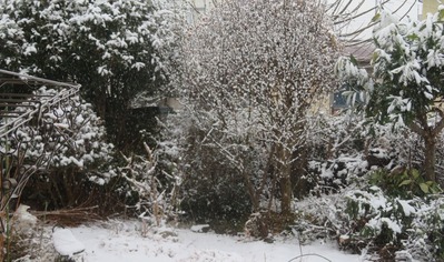 雪20210112IMG_7456