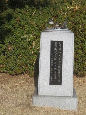 チドリs-IMG_7307