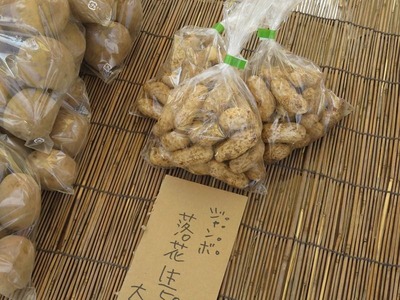 あm-IMG_9250
