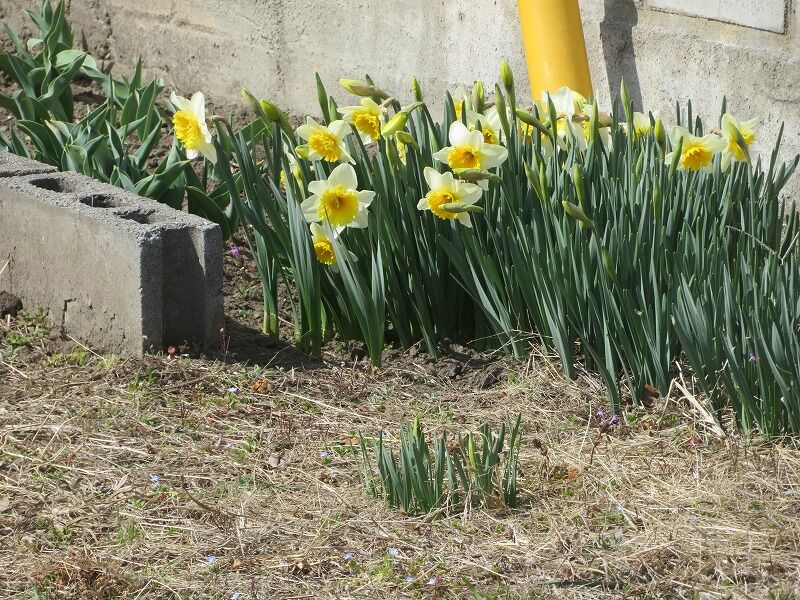 暖かいなぁ ラブ甲州