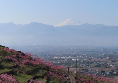 ¥Õ¥ë¡¼¥Ä¥é¥¤¥ó20220410IMG_4566 (2)