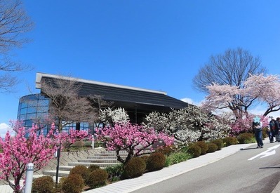 IMG_4364 (2)