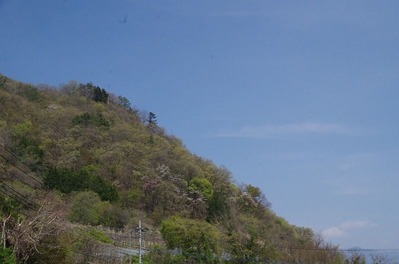 春s-IMGP6445