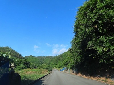 s-IMG_0809 (2)