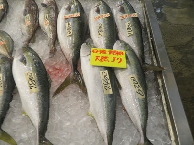あm-IMG_0589