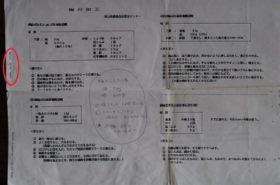 梅漬けのことIMGP7657 (2)