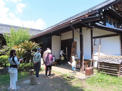 IMG_5041 (2)