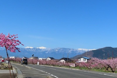 Æî¥¢¥ë¥×¥¹¡¡ÂçÌîIMG_4346 (2)
