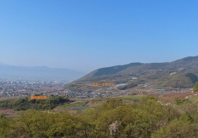 IMG_4573 (3)