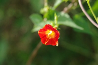 s-IMGP9210