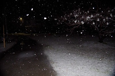 雪191223m-IMGP5217