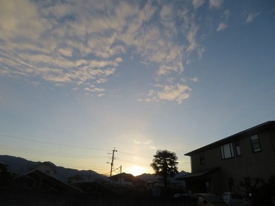 m-IMG_0761