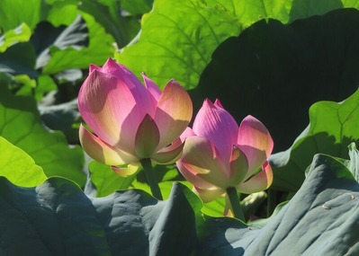 4s-IMG_0672 (2)