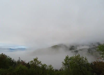 IMG_5113 (2)