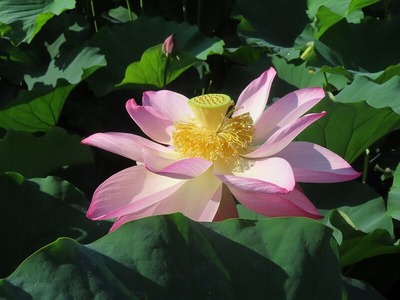 3日目かな s-IMG_0670 (3)