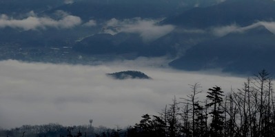 IMG_1154