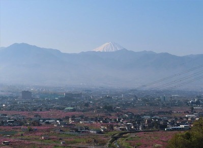 IMG_4554 (2)