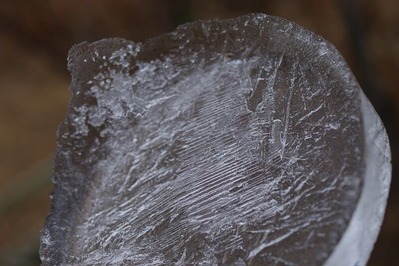 20210122s-IMGP0101